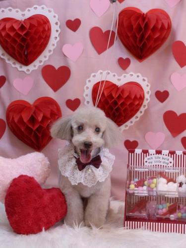 20240228ロンくん